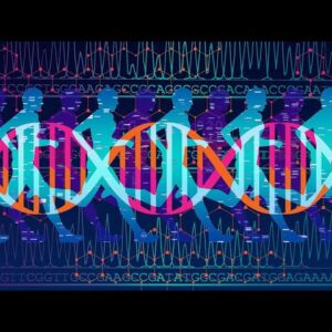 Dispelling The Myth of Genes