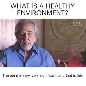 Dr  Bruce Lipton - What Is A Healthy Environment