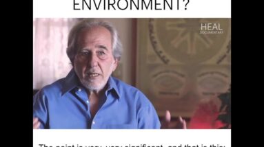 Dr  Bruce Lipton - What Is A Healthy Environment