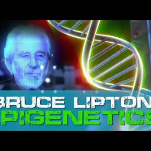 Epigenetics and Computers