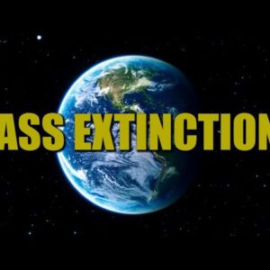 Mass Extinctions & The Younger Dryas