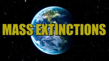 Mass Extinctions & The Younger Dryas