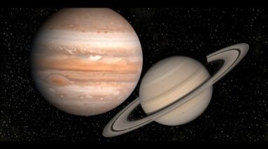 Bruce Lipton - 2020 in Review - Saturn and Jupiter Grand Conjunction: December 21, 2020