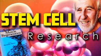 Pioneering Stem Cell Research in 1967