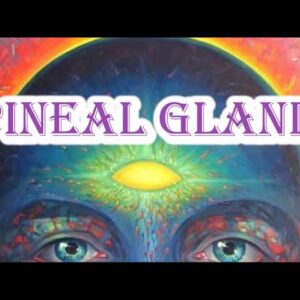 The Third Eye