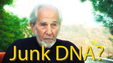 Vestigial Science - "Junk" DNA