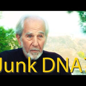 Vestigial Science - "Junk" DNA